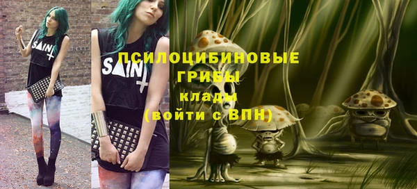 гашиш Заводоуковск