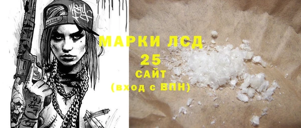 PSILOCYBIN Ельня