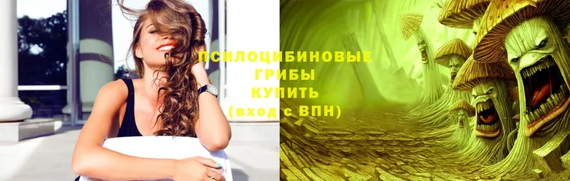 OMG ONION  Петров Вал  Галлюциногенные грибы ЛСД  сколько стоит 